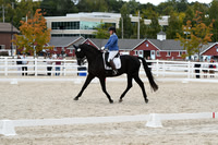 HSM_6849