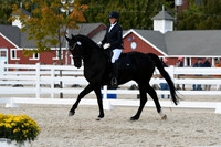 HSM_7308