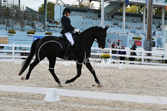 HSM_7322