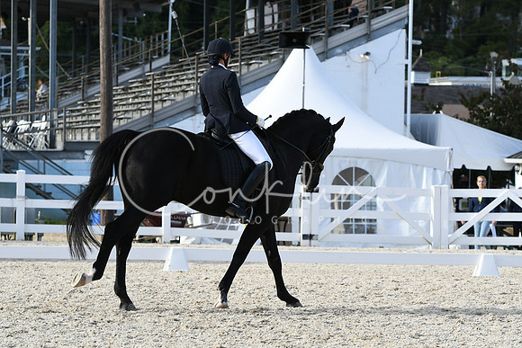 HSM_7359
