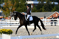 HSM_8019