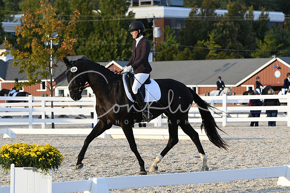 HSM_8019