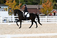 HSM_8232