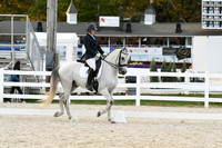 HSM_8079