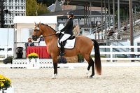 HSM_8281