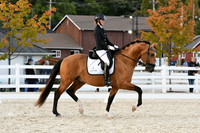 HSM_8291
