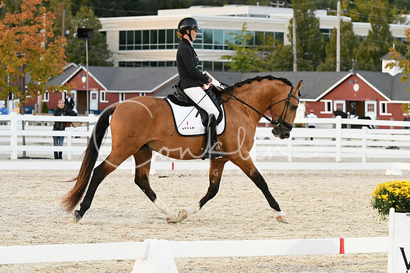 HSM_8331