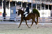 HSM_8581