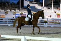 HSM_8584