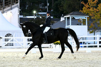 HSM_8513