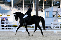 HSM_8521