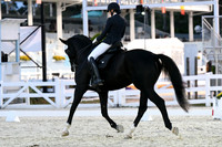 HSM_8531