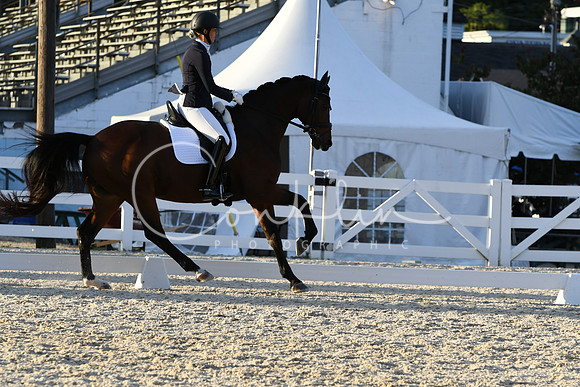 HSM_7962