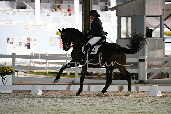 HSM_8823