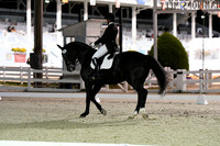 HSM_9080