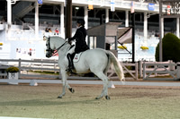 HSM_8858