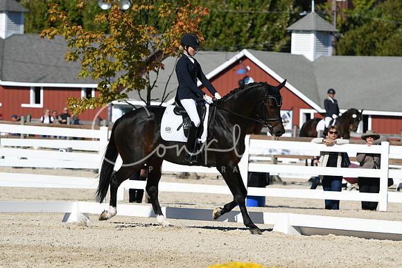 HSM_3878