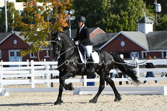 HSM_5916