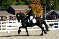 HSM_5919