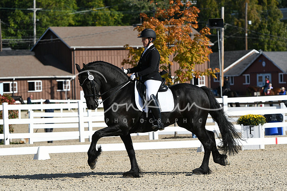 HSM_5919