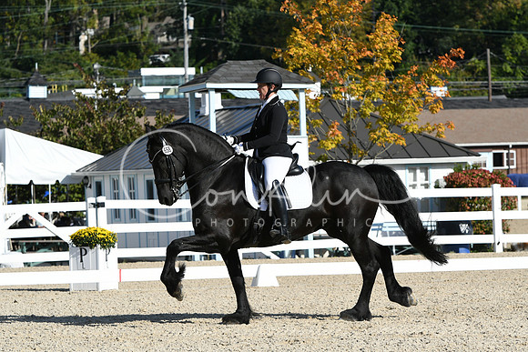 HSM_5921