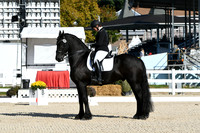 HSM_5925
