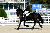 HSM_5930