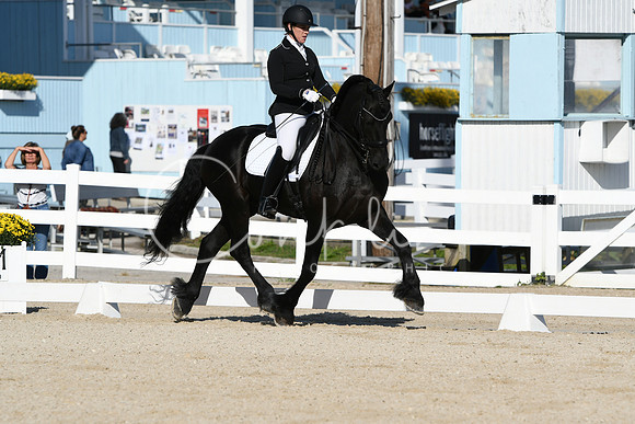 HSM_5933
