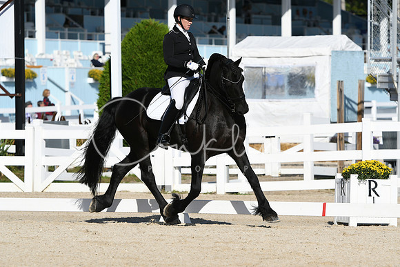 HSM_5937