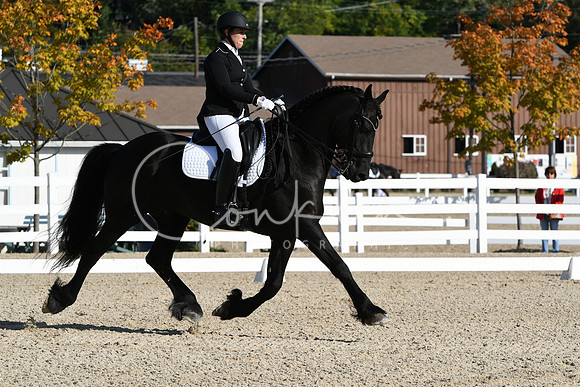 HSM_5949