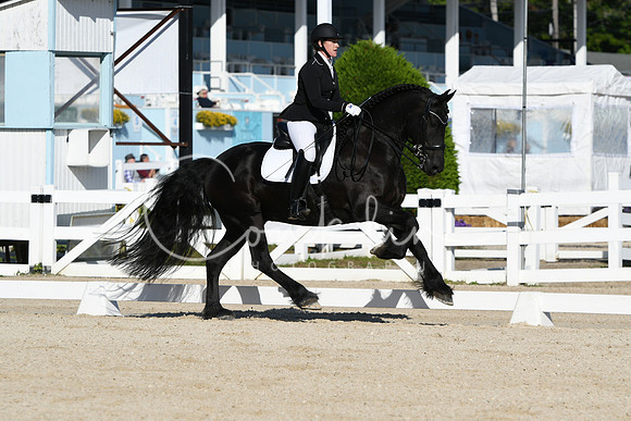 HSM_5956