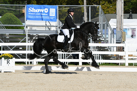 HSM_5958