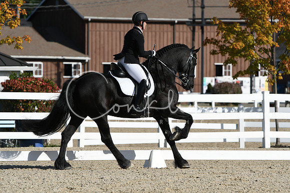 HSM_5962
