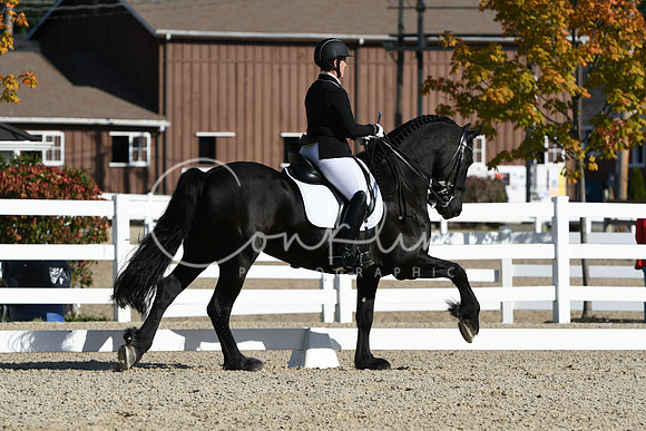 HSM_5963