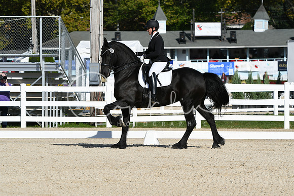 HSM_5968
