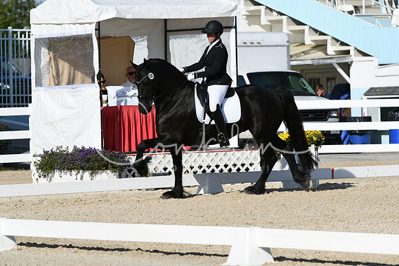 HSM_5972