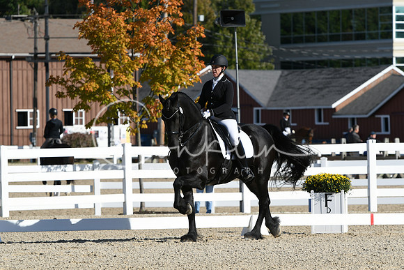 HSM_5982