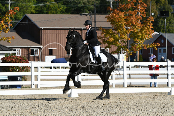 HSM_5984