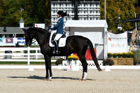 HSM_6196