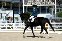 HSM_6197