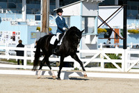 HSM_6204