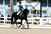 HSM_6205
