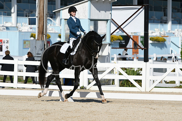 HSM_6205