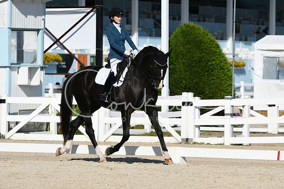 HSM_6207
