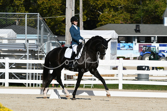 HSM_6213