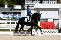 HSM_6217