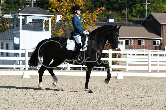 HSM_6219