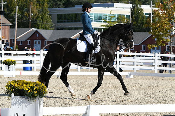 HSM_6221