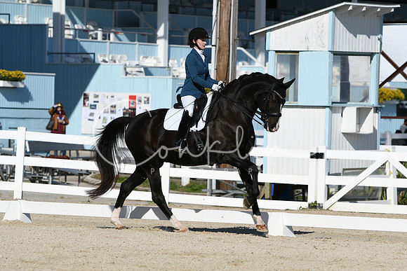 HSM_6239