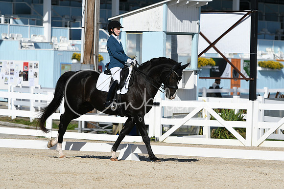 HSM_6241